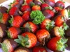 Halal Catering